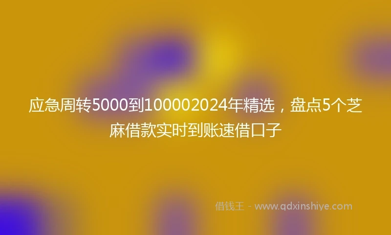 应急周转5000到100002024年精选，盘点5个芝麻借款实时到账速借口子