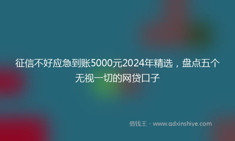 征信不好应急到账5000元2024年精选，盘点五个无视一切的网贷口子