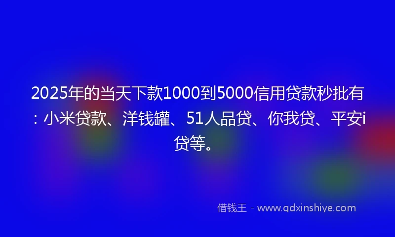 2025年的当天下款1000到5000信用贷款秒批有：小米贷款、洋钱罐、51人品贷、你我贷、平安i贷等。
