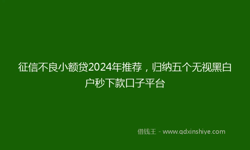 征信不良小额贷2024年推荐，归纳五个无视黑白户秒下款口子平台