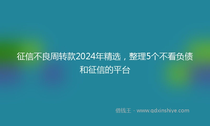 征信不良周转款2024年精选，整理5个不看负债和征信的平台