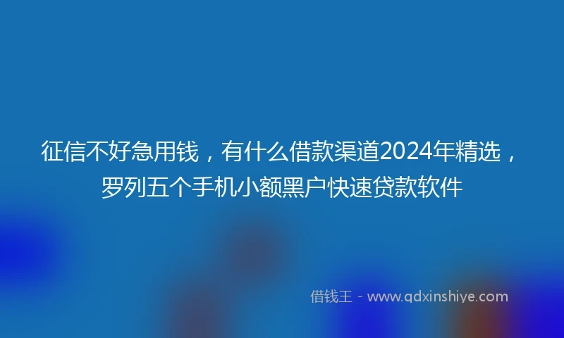征信不好急用钱，有什么借款渠道2024年精选，罗列五个手机小额黑户快速贷款软件
