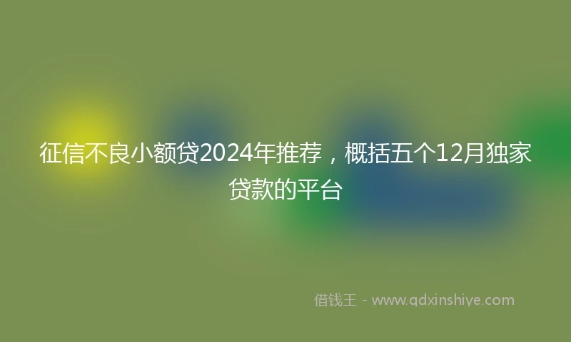 征信不良小额贷2024年推荐，概括五个12月独家贷款的平台
