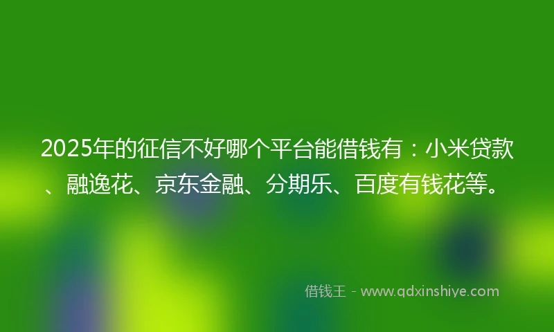 2025年的征信不好哪个平台能借钱有：小米贷款、融逸花、京东金融、分期乐、百度有钱花等。