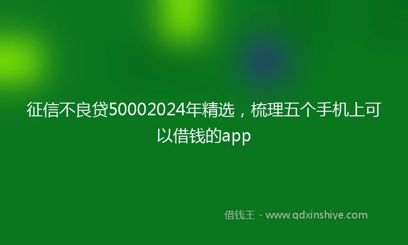 征信不良贷50002024年精选，梳理五个手机上可以借钱的app