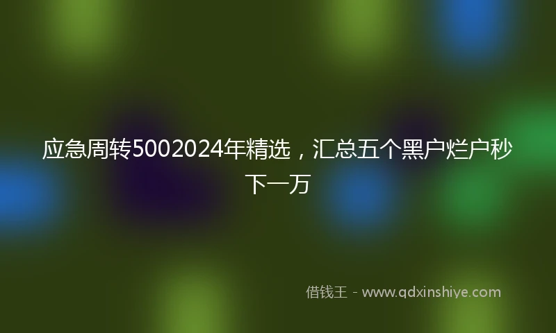 应急周转5002024年精选，汇总五个黑户烂户秒下一万