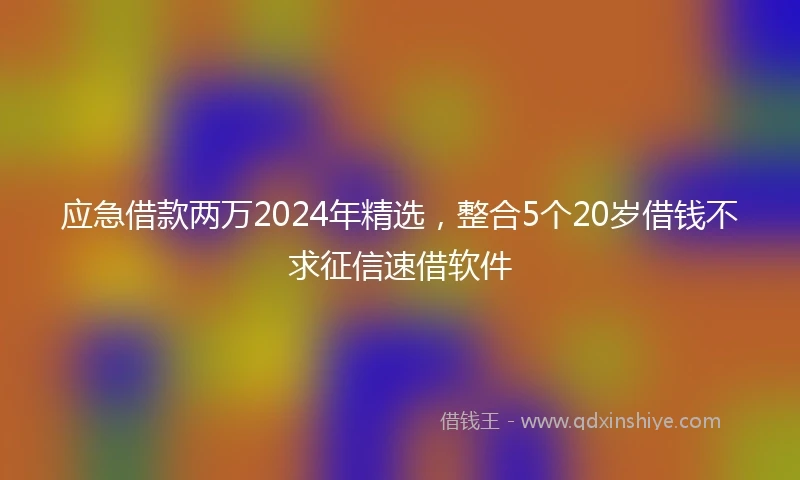 应急借款两万2024年精选，整合5个20岁借钱不求征信速借软件