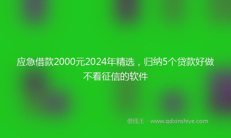 应急借款2000元2024年精选，归纳5个贷款好做不看征信的软件