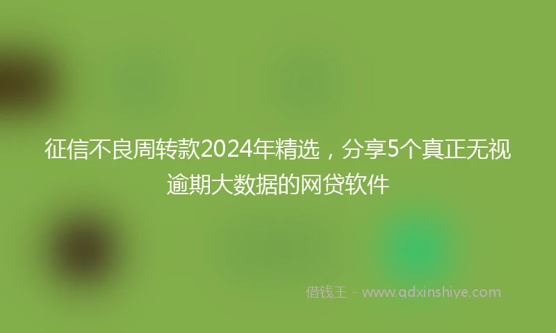 征信不良周转款2024年精选，分享5个真正无视逾期大数据的网贷软件