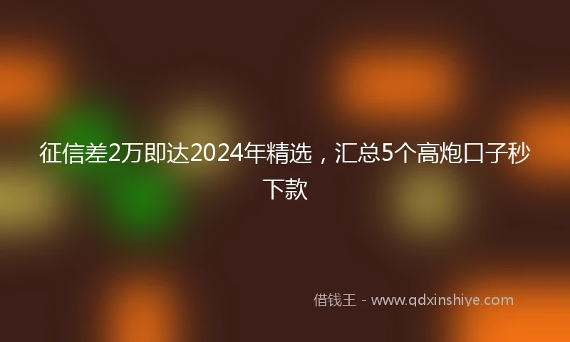 征信差2万即达2024年精选，汇总5个高炮口子秒下款