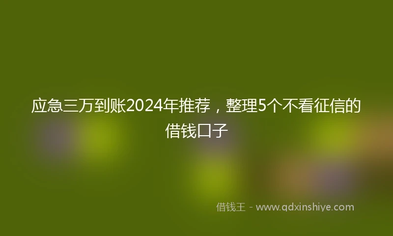 应急三万到账2024年推荐，整理5个不看征信的借钱口子
