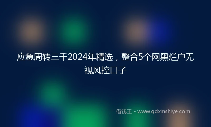 应急周转三千2024年精选，整合5个网黑烂户无视风控口子