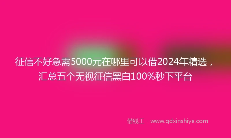 征信不好急需5000元在哪里可以借2024年精选，汇总五个无视征信黑白100%秒下平台