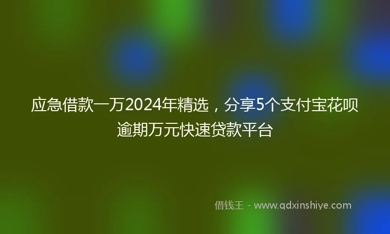 应急借款一万2024年精选，分享5个支付宝花呗逾期万元快速贷款平台