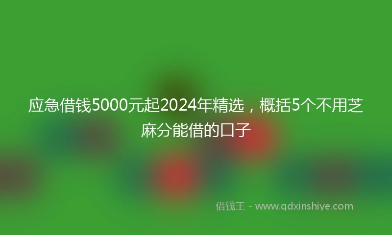 应急借钱5000元起2024年精选，概括5个不用芝麻分能借的口子