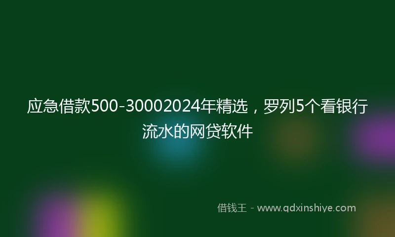 应急借款500-30002024年精选，罗列5个看银行流水的网贷软件