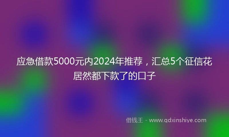 应急借款5000元内2024年推荐，汇总5个征信花居然都下款了的口子