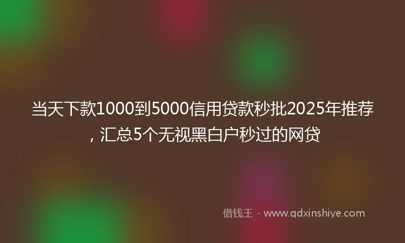 当天下款1000到5000信用贷款秒批2025年推荐，汇总5个无视黑白户秒过的网贷