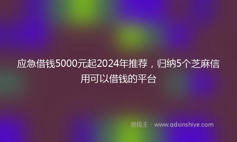 应急借钱5000元起2024年推荐，归纳5个芝麻信用可以借钱的平台