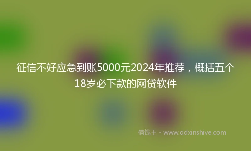征信不好应急到账5000元2024年推荐，概括五个18岁必下款的网贷软件