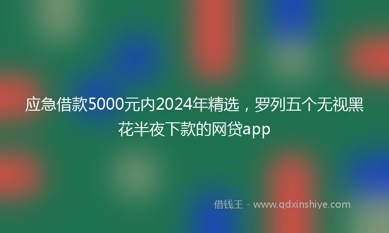 应急借款5000元内2024年精选，罗列五个无视黑花半夜下款的网贷app
