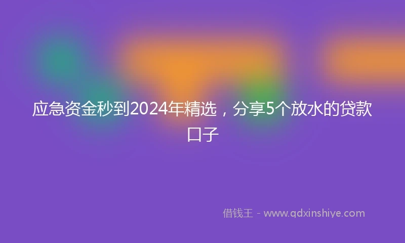 应急资金秒到2024年精选，分享5个放水的贷款口子
