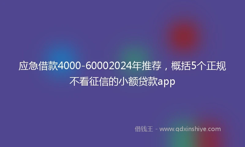 应急借款4000-60002024年推荐，概括5个正规不看征信的小额贷款app