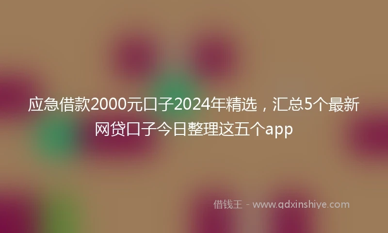 应急借款2000元口子2024年精选，汇总5个最新网贷口子今日整理这五个app