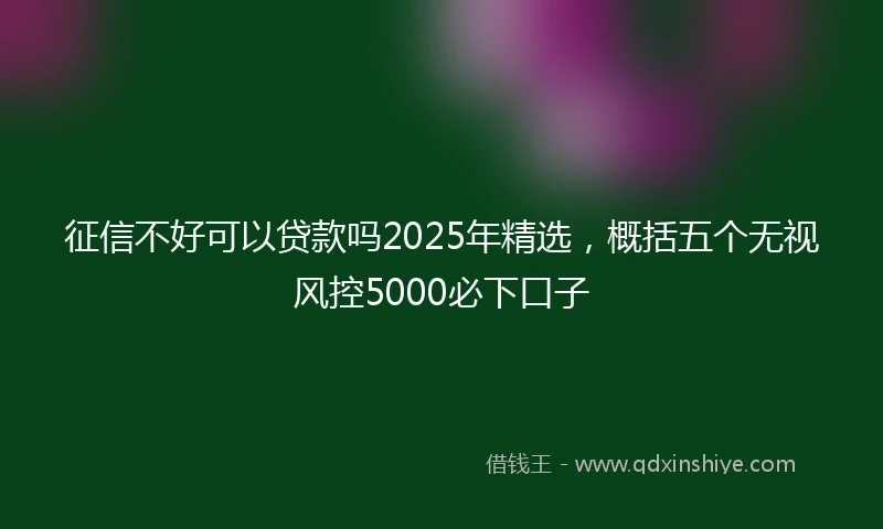 征信不好可以贷款吗2025年精选，概括五个无视风控5000必下口子