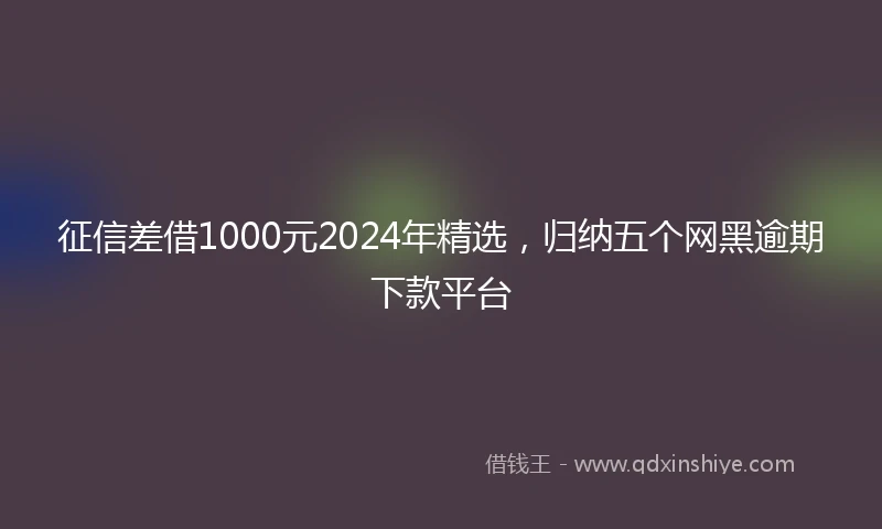 征信差借1000元2024年精选，归纳五个网黑逾期下款平台