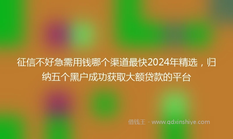 征信不好急需用钱哪个渠道最快2024年精选，归纳五个黑户成功获取大额贷款的平台