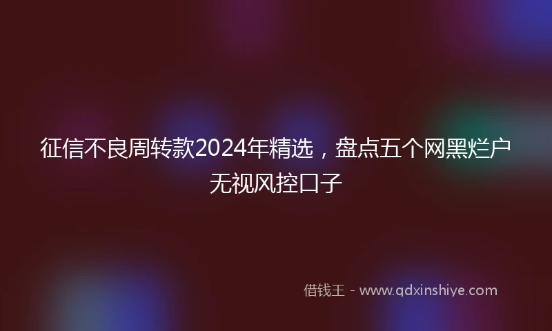 征信不良周转款2024年精选，盘点五个网黑烂户无视风控口子