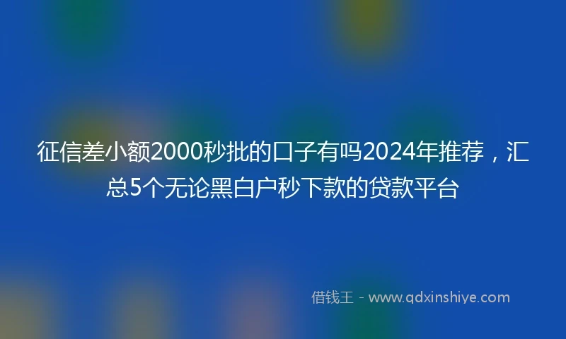 征信差小额2000秒批的口子有吗2024年推荐，汇总5个无论黑白户秒下款的贷款平台