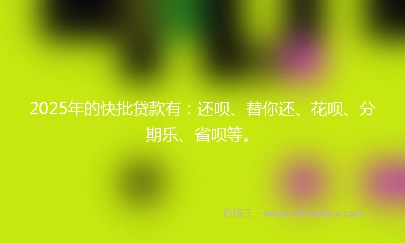 2025年的快批贷款有：还呗、替你还、花呗、分期乐、省呗等。