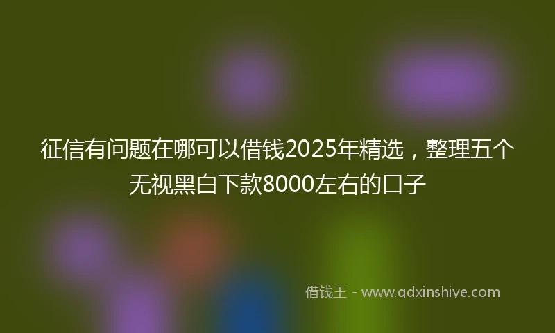 征信有问题在哪可以借钱2025年精选，整理五个无视黑白下款8000左右的口子