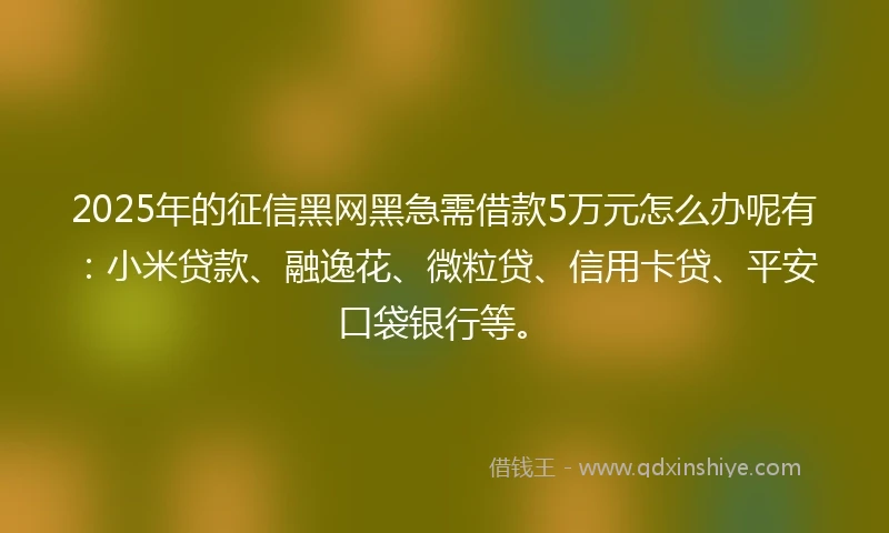 2025年的征信黑网黑急需借款5万元怎么办呢有：小米贷款、融逸花、微粒贷、信用卡贷、平安口袋银行等。