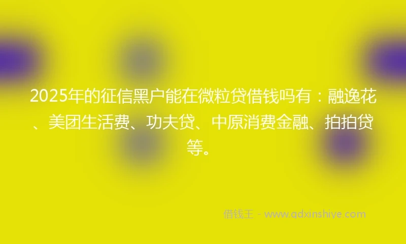 2025年的征信黑户能在微粒贷借钱吗有：融逸花、美团生活费、功夫贷、中原消费金融、拍拍贷等。