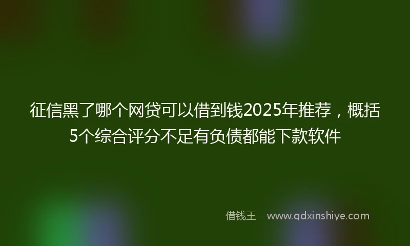 征信黑了哪个网贷可以借到钱2025年推荐，概括5个综合评分不足有负债都能下款软件
