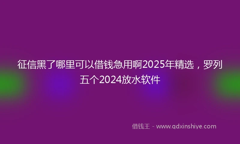 征信黑了哪里可以借钱急用啊2025年精选，罗列五个2024放水软件