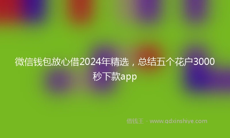 微信钱包放心借2024年精选，总结五个花户3000秒下款app