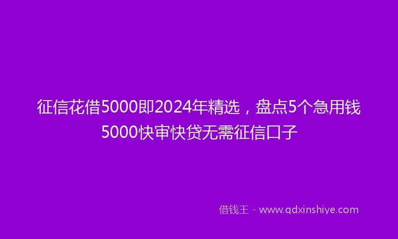 征信花借5000即2024年精选，盘点5个急用钱5000快审快贷无需征信口子