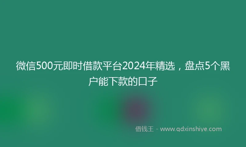微信500元即时借款平台2024年精选，盘点5个黑户能下款的口子