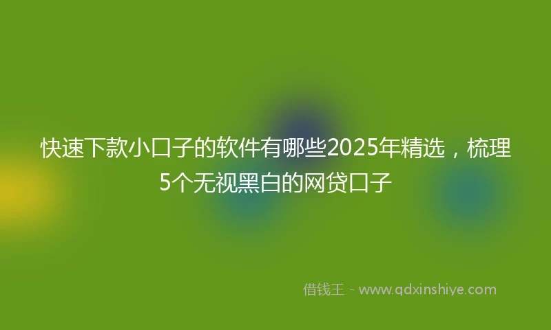 快速下款小口子的软件有哪些2025年精选，梳理5个无视黑白的网贷口子