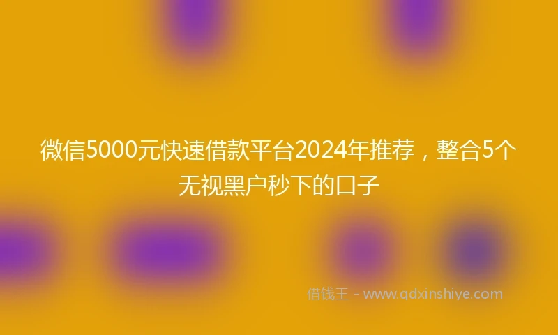 微信5000元快速借款平台2024年推荐，整合5个无视黑户秒下的口子