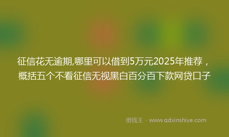 征信花无逾期,哪里可以借到5万元2025年推荐，概括五个不看征信无视黑白百分百下款网贷口子