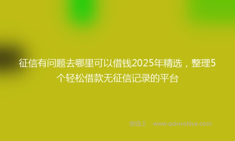 征信有问题去哪里可以借钱2025年精选，整理5个轻松借款无征信记录的平台