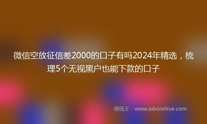 微信空放征信差2000的口子有吗2024年精选，梳理5个无视黑户也能下款的口子