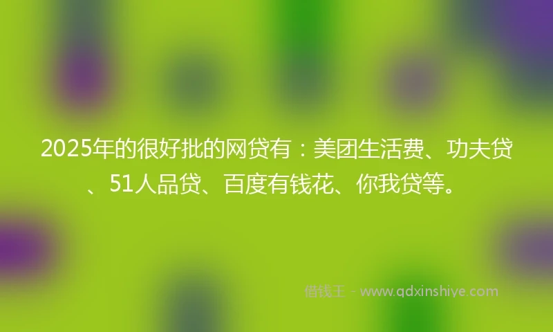 2025年的很好批的网贷有：美团生活费、功夫贷、51人品贷、百度有钱花、你我贷等。