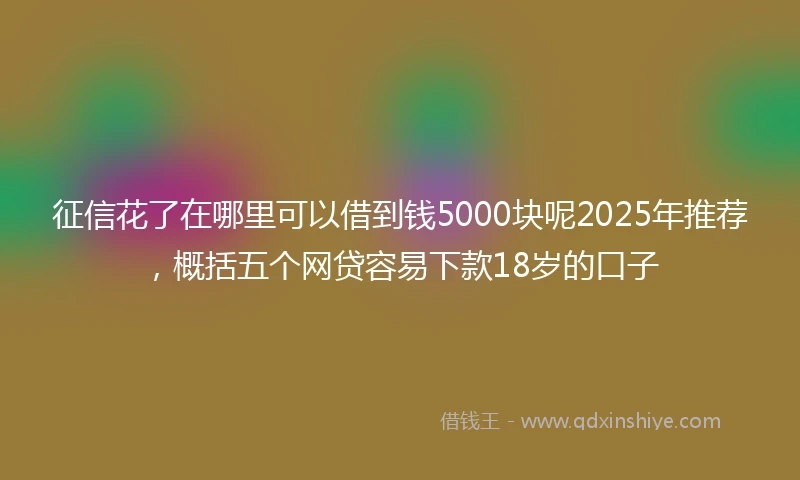 征信花了在哪里可以借到钱5000块呢2025年推荐，概括五个网贷容易下款18岁的口子