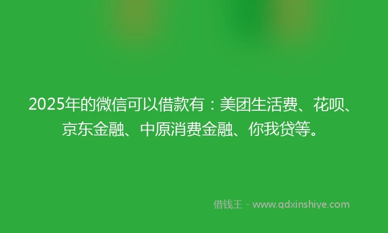 2025年的微信可以借款有：美团生活费、花呗、京东金融、中原消费金融、你我贷等。